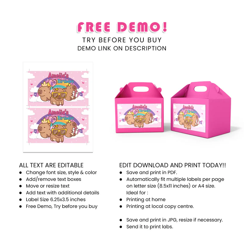Capybara Treat Box Label - Custom Gable Box Stickers
