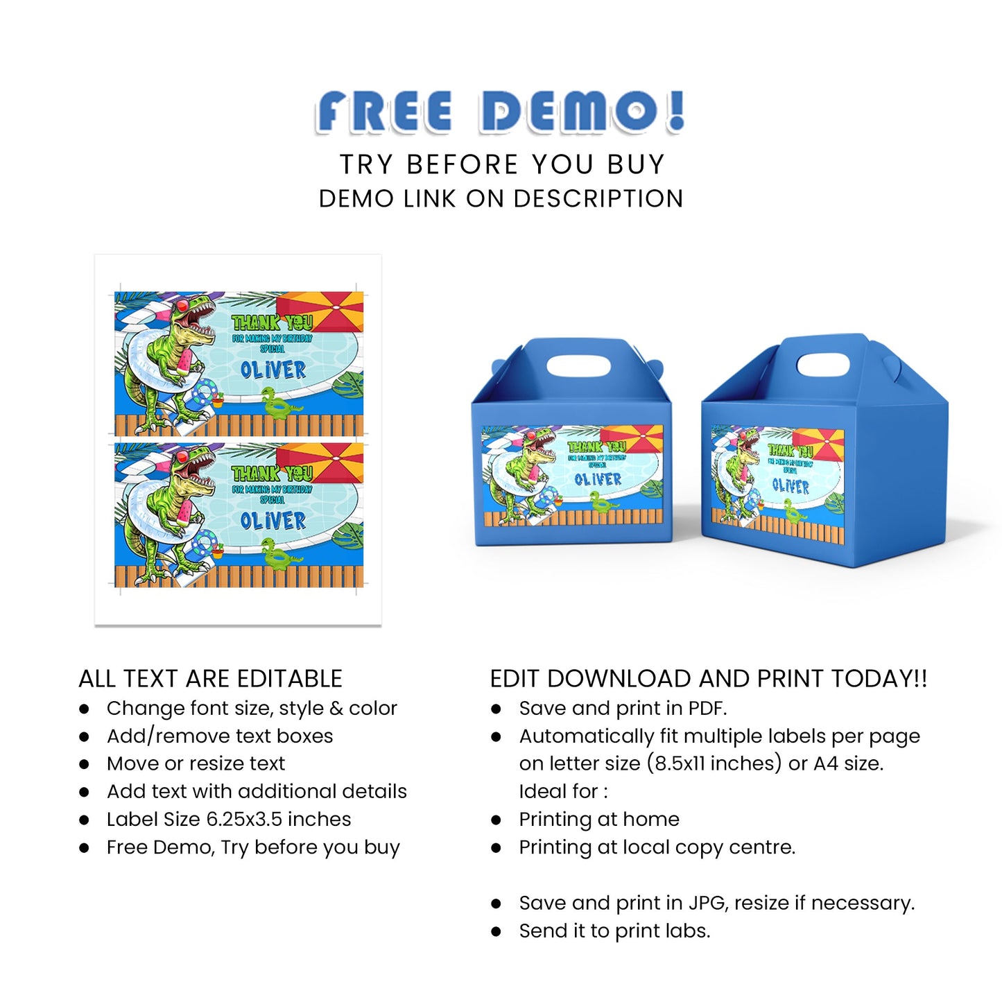 Dinosaur Treat Box Labels - Customized Goodie Boxes for Party Favors