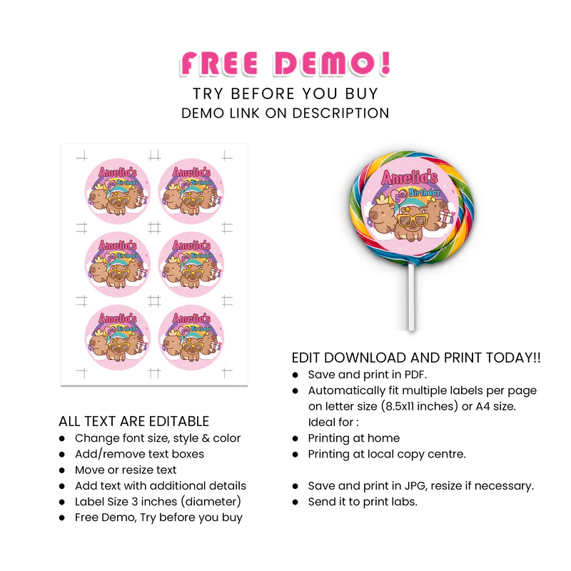 Capybara Lollipop Label - Personalized Round Candy Stickers