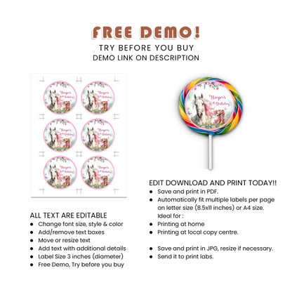 Horse Equestrian Lollipop Label Custom Party Printable